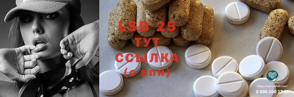 индика Белокуриха