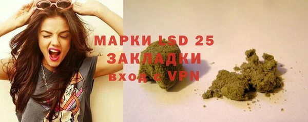 индика Белокуриха