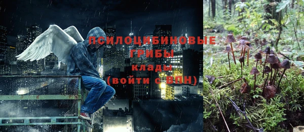 индика Белокуриха