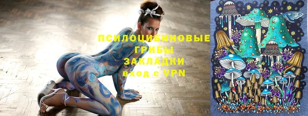 гидра Беломорск
