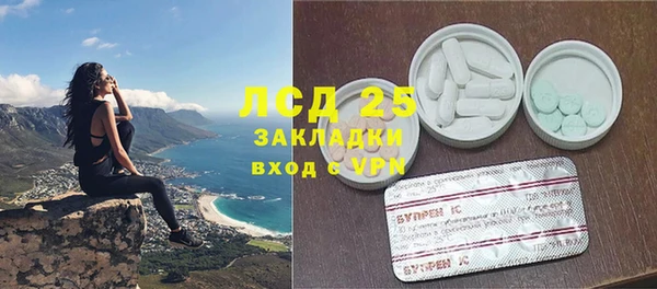 индика Белокуриха