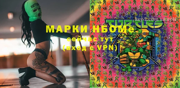 индика Белокуриха