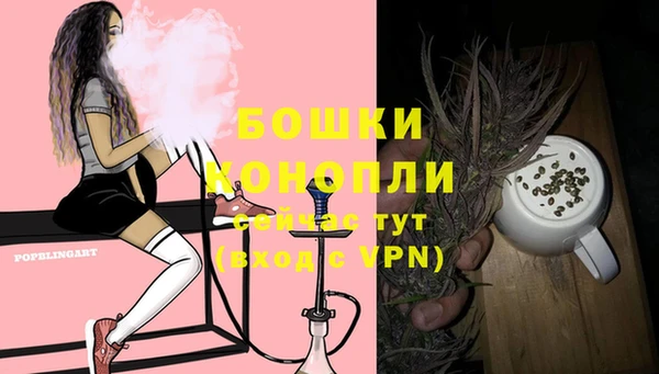 дмт Богородицк