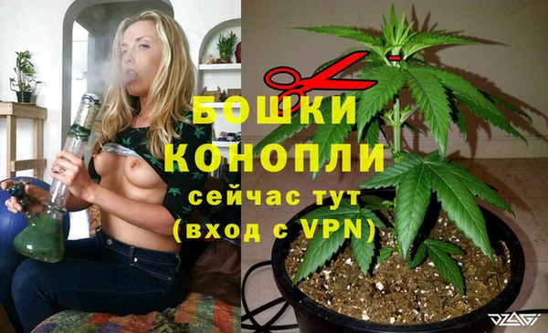 мяу мяу кристалл Богданович