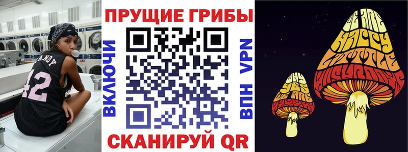 наркошоп  Завитинск  Псилоцибиновые грибы прущие грибы 